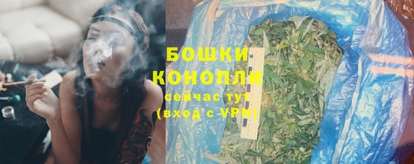 ГАЛЛЮЦИНОГЕННЫЕ ГРИБЫ Краснослободск