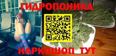 твердый Коммунар