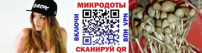 наркотики Нурлат Галлюциногенные грибы Psilocybine cubensis
