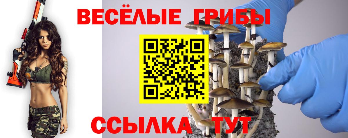 Галлюциногенные грибы прущие грибы Нурлат